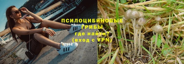 герыч Гусь-Хрустальный